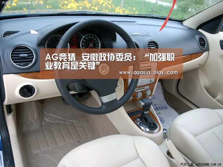 AG竞猜-安徽政协委员:“加强职业教育是关键”(图1) AG竞猜