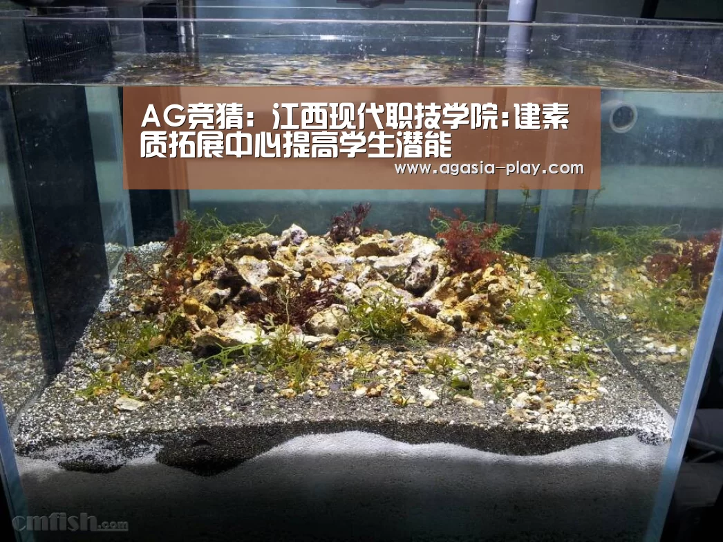 AG竞猜:江西现代职技学院:建素质拓展中心提高学生潜能(图3) AG竞猜
